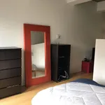  appartement avec 1 chambre(s) en location à Montreal