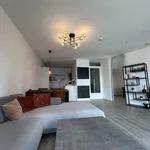 Rent 2 bedroom apartment of 70 m² in Stadsdriehoek