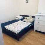 Rent 2 bedroom apartment in Šumperk