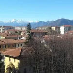 Rent 3 bedroom apartment of 80 m² in Orbassano