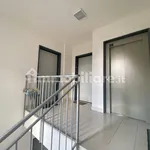 Rent 2 bedroom apartment of 50 m² in San Giovanni Lupatoto