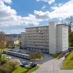 Rent 4 bedroom apartment of 75 m² in Aarau