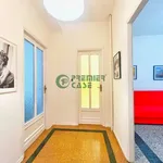 Rent 2 bedroom apartment of 55 m² in Turin