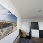 Rent 1 bedroom apartment in berlin