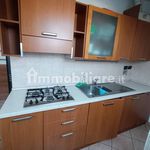 2-room flat via dei Fraschei 61/B, Centro, Orbassano