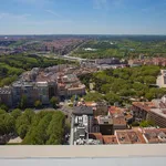 Rent 1 bedroom apartment of 85 m² in Madrid