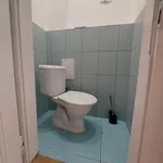 Pronajměte si 4 ložnic/e byt o rozloze 105 m² v Prague