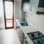 Rent 4 bedroom apartment of 110 m² in Avezzano