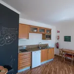 Rent 1 bedroom apartment of 42 m² in Luz