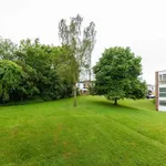 Rent 2 bedroom flat in Hertsmere