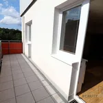 Rent 3 bedroom apartment in Brno