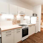 Rent 1 bedroom apartment of 41 m² in Brno