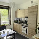 Rent 5 bedroom apartment of 77 m² in Geneva