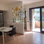 Rent 2 bedroom apartment of 50 m² in Cerveteri