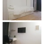 Appartement de 11 m² avec 5 chambre(s) en location à Meudon