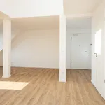 Rent 1 bedroom apartment of 53 m² in Berlin