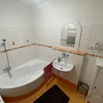 Rent 1 bedroom house of 746 m² in Přítluky