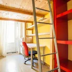 Rent a room of 85 m² in rome