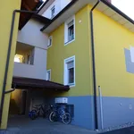 Rent 2 bedroom apartment of 50 m² in Graz