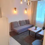 Rent 1 bedroom apartment of 28 m² in Bonn