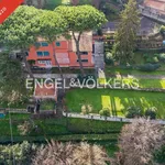 Rent 13 bedroom house of 3 m² in Marino