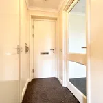 Rent 1 bedroom apartment in North East England