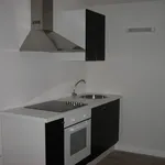 Rent 3 bedroom apartment of 53 m² in ColomiersT