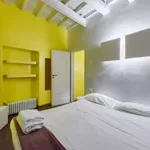 Rent 1 bedroom apartment in florence