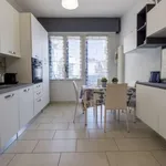 Rent 1 bedroom apartment of 50 m² in bologna