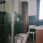 Rent 1 bedroom apartment of 40 m² in Segrate