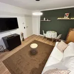 Rent 1 bedroom apartment of 47 m² in Essen