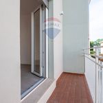 Porzione di casa in Affitto Viadana 33631032-78 | RE/MAX Italia