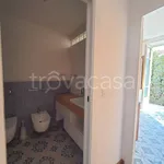 Rent 3 bedroom apartment of 58 m² in Torino