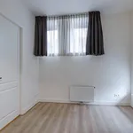 Rent 2 bedroom apartment of 40 m² in Binnenstad-West