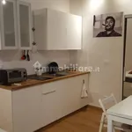 Rent 1 bedroom apartment of 33 m² in Turin