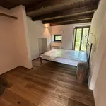 Rent 2 bedroom apartment of 45 m² in Mezzenile