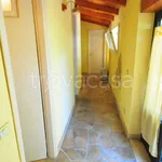 Rent 3 bedroom apartment of 85 m² in Pietrasanta