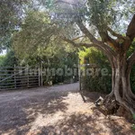 Multi-family villa Località Belvedere, Montalto di Castro