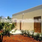 Rent 3 bedroom house of 100 m² in Mazara del Vallo