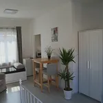 Rent 2 bedroom apartment of 75 m² in Prague