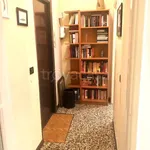 Rent 2 bedroom apartment of 55 m² in Milano