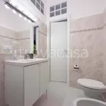 Rent 1 bedroom apartment of 25 m² in Milano