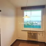 Rent 3 bedroom apartment of 80 m² in Městec Králové