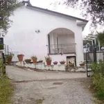 Rent 1 bedroom apartment of 60 m² in Casal Velino