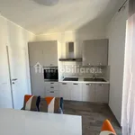 Rent 3 bedroom apartment of 80 m² in Pinerolo