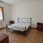 Rent 4 bedroom apartment of 80 m² in Follonica