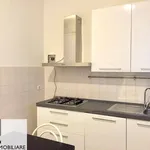 Rent 3 bedroom apartment of 100 m² in Mantova