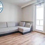 Rent 1 bedroom apartment of 25 m² in Łódź