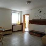 Rent 1 bedroom apartment of 35 m² in Hradec Králové