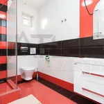 Rent 6 bedroom house in Prague